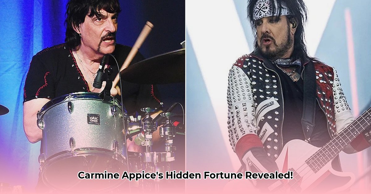 carmine-appice-net-worth
